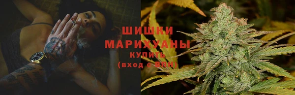 шишки Богданович