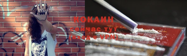 амф Майский