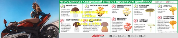 СК Горнозаводск