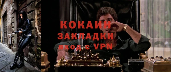 шишки Магадан